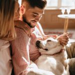 The role of veterinary specialists in complex cases