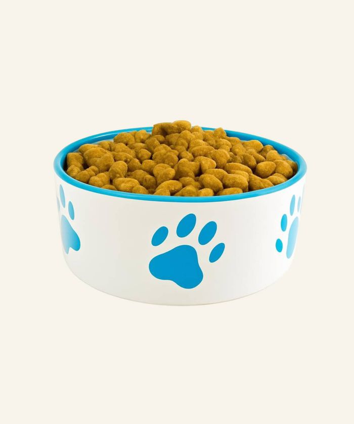 Paw-print ceramic food bowl - Image 2
