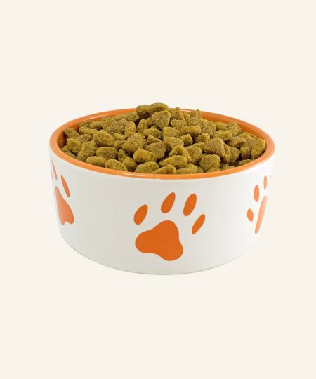 Paw-print ceramic food bowl