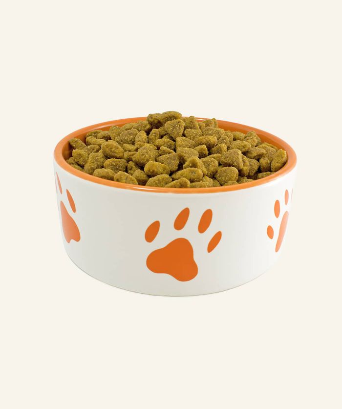 Paw-print ceramic food bowl